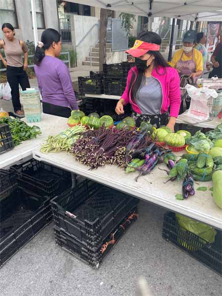 Long Beans Booth