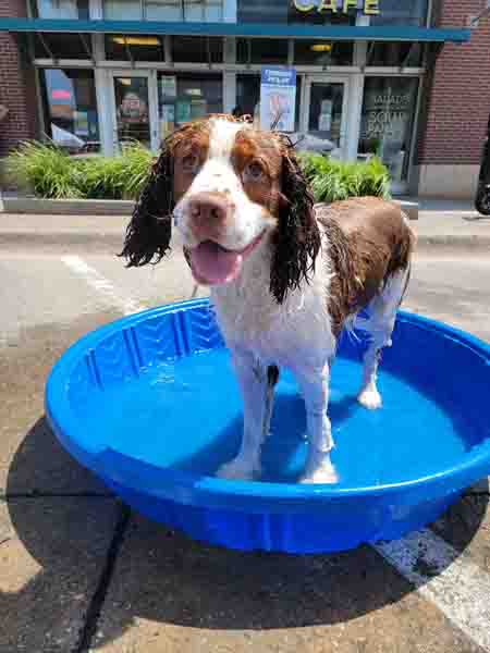 Cooling Off Cooling Off