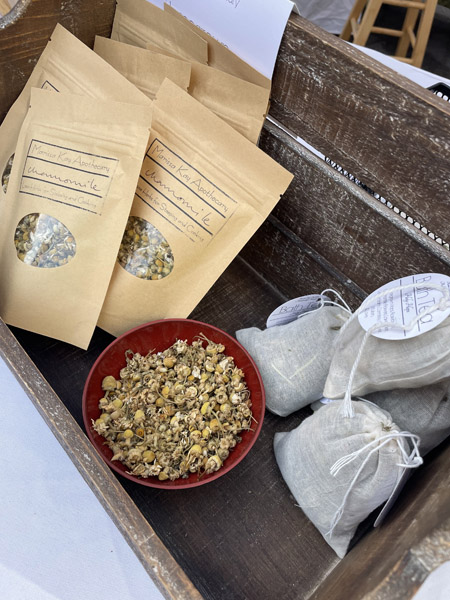 Marissa Kay Seeds
