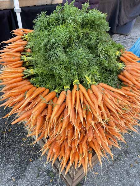 Carrots