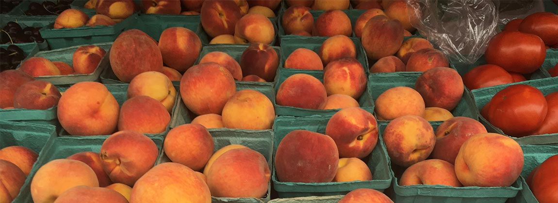 Peaches at the DTFM