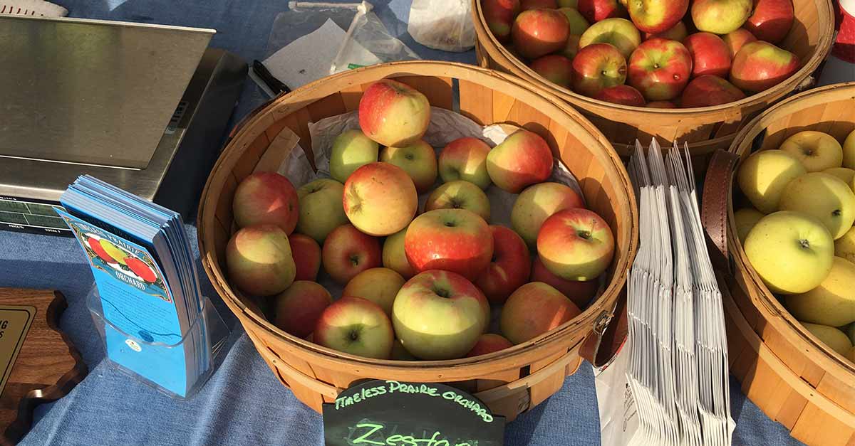 Timeless Prairie Orchard apples at the DTFM