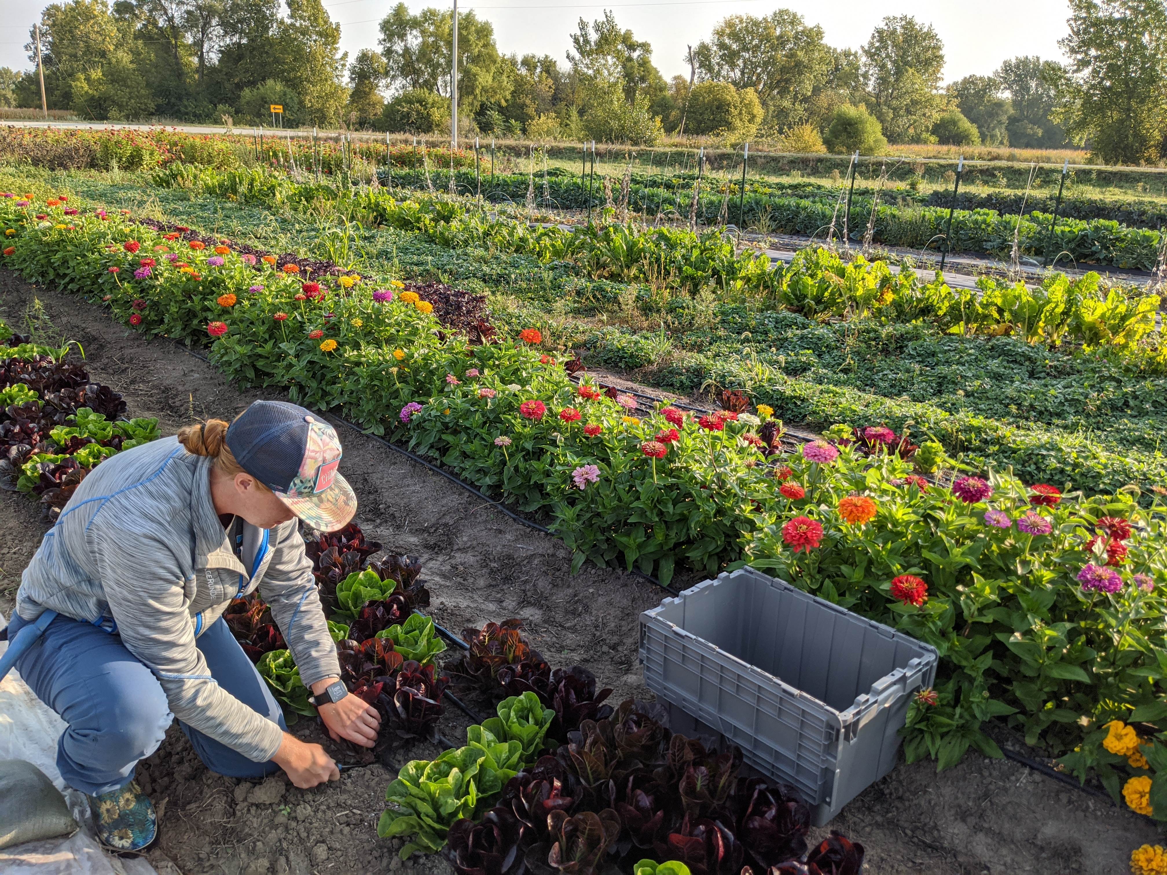 Prairie Lakes Acres