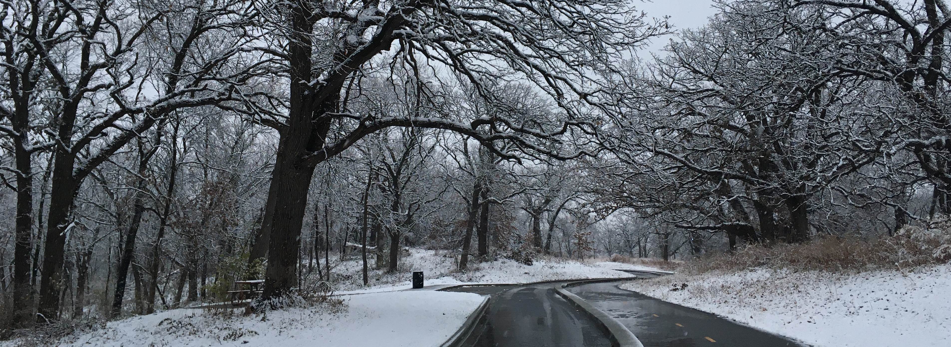 Winter Views in Downtown DSM