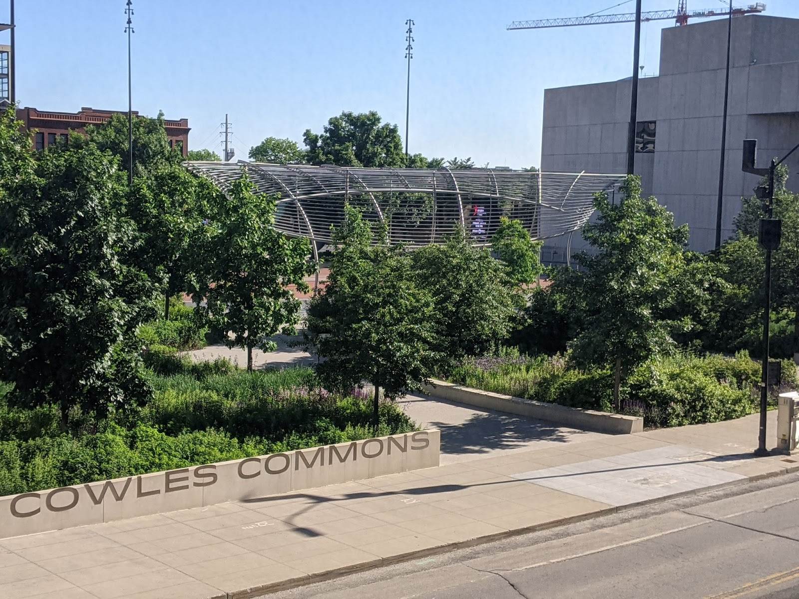 Yoga at Cowles Commons