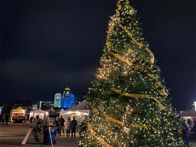 Lighted Tree