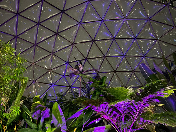 Botanical Garden Dome