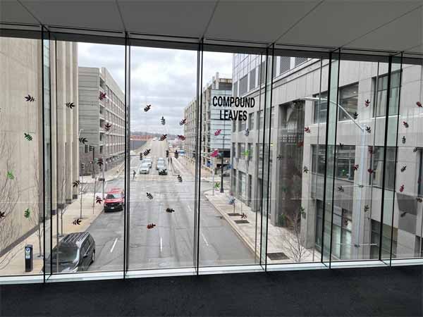 Skywalk View