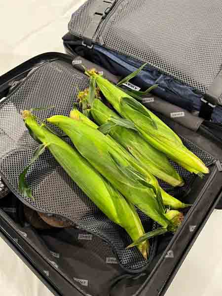 Sweet Corn at The Market