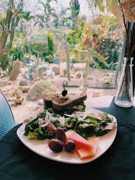 Trellis Lunch Item Trellis Lunch Item