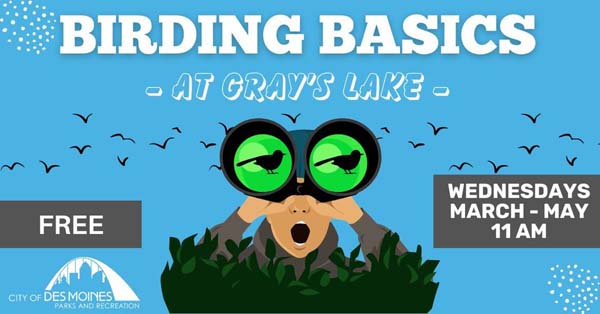 Birding Basics Birding Basics