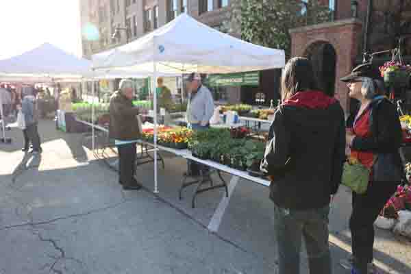 Downtown Farmers' Market