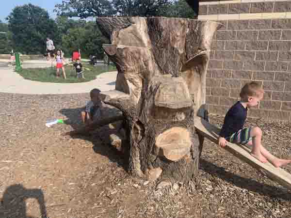 Natural Playscape