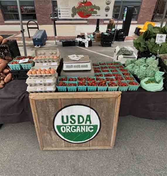Bridgewater Farms at The Market Bridgewater Farms at The Market