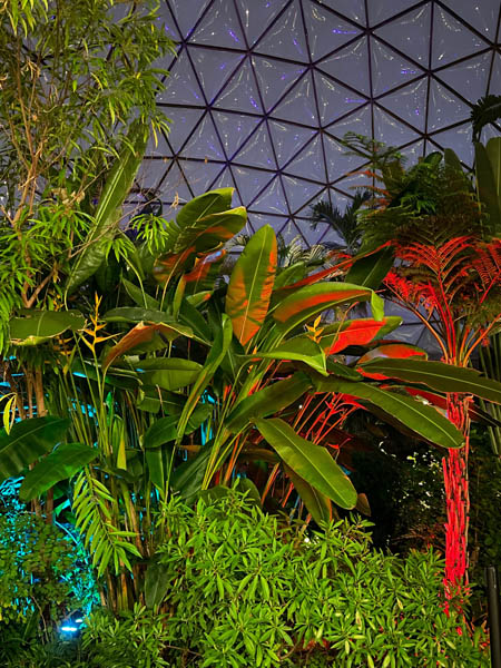 Dome After Dark Dome After Dark
