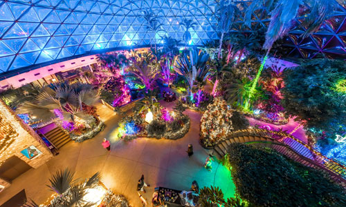 Dome for the Holidays