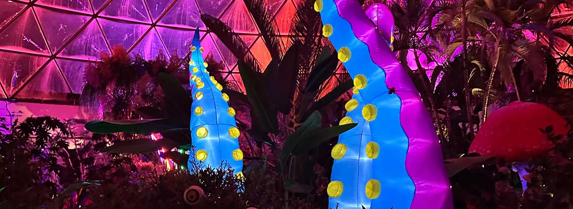 Halloween lights and plants at the Botanical Garden