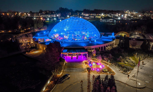 Dome for the Holidays