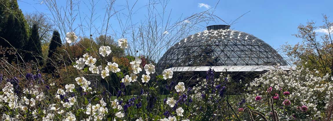 exterior of Botanical Garden dome