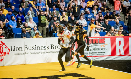 football players and crowd