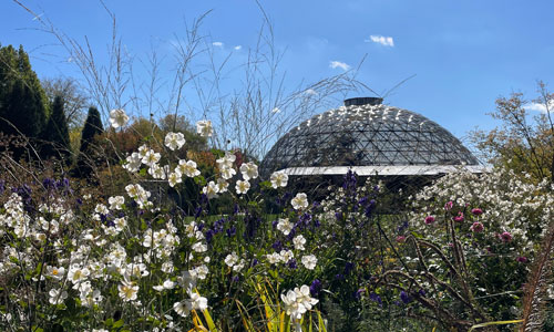 Greater Des Moines Botanical Garden flowers surrounding the Greater Des Moines Botanical Garden