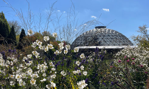 exterior of the Botanical Garden during the day