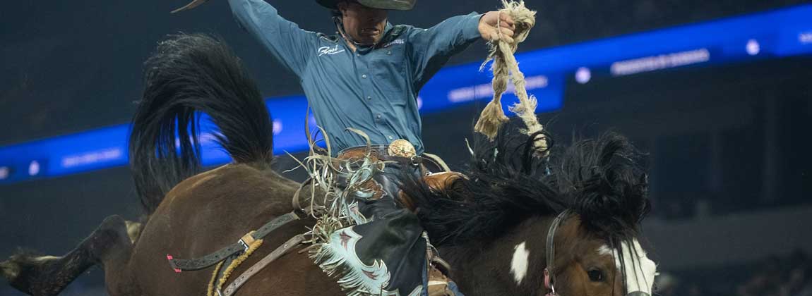 cowboy riding a horse