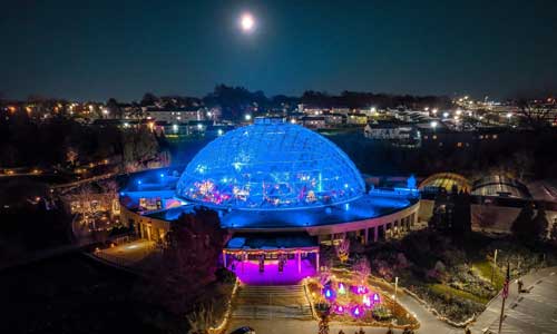 Dome for the Holidays