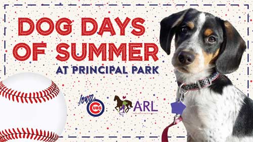 ARL Dog Days of Summer