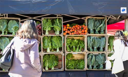 produce at the Downtown Farmers' Market