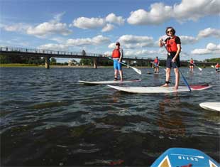 people paddle boarding