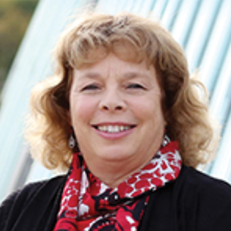 Robbin McClelland in DSM USA