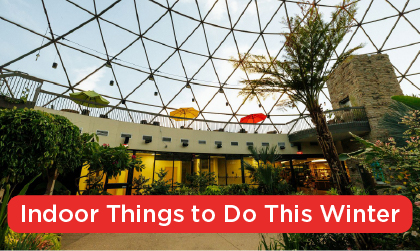 Indoor things to do this winter