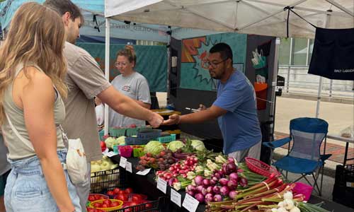 Downtown Farmers' Market produce vendor