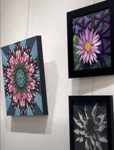 botanical paintings