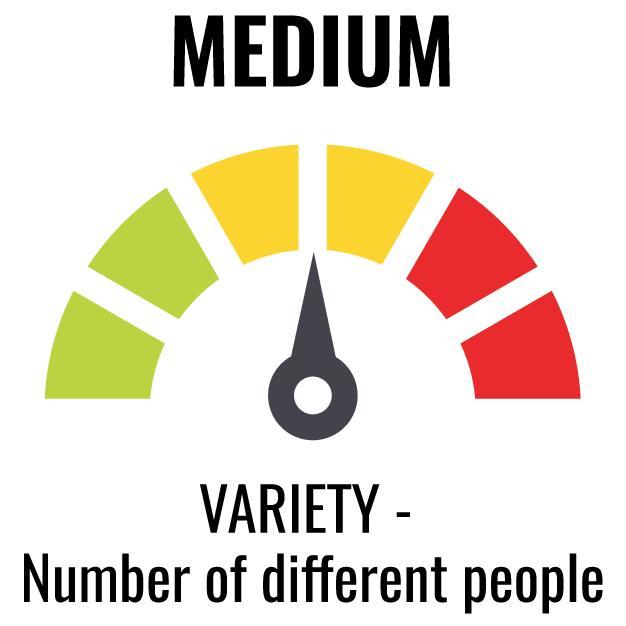 Nonprofits Risk Profile Variety