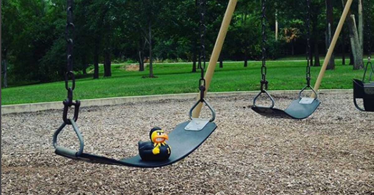DM Park Tour Swing