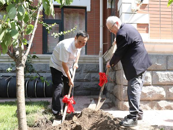 Planting a Tree