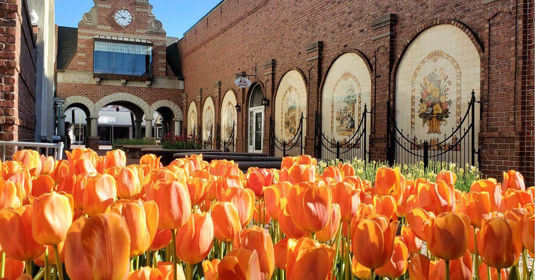 Tulip Time Festival in Pella, Iowa