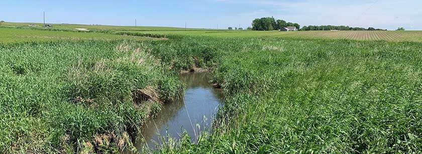 Central Iowa Blitz Project