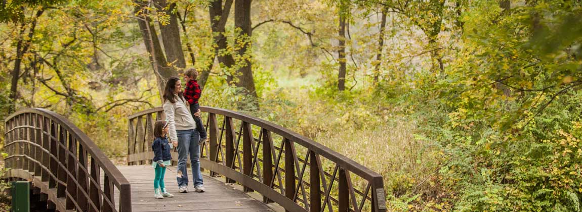 Dog-Friendly Trails