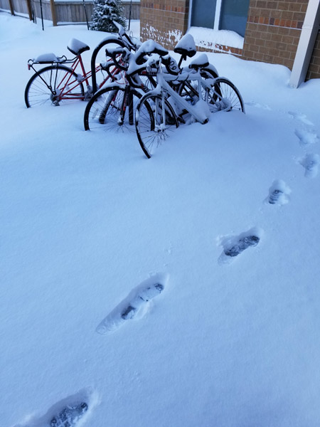 First Iowa Snow