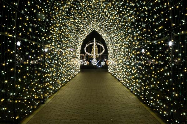 Pella Lights Pella Lights