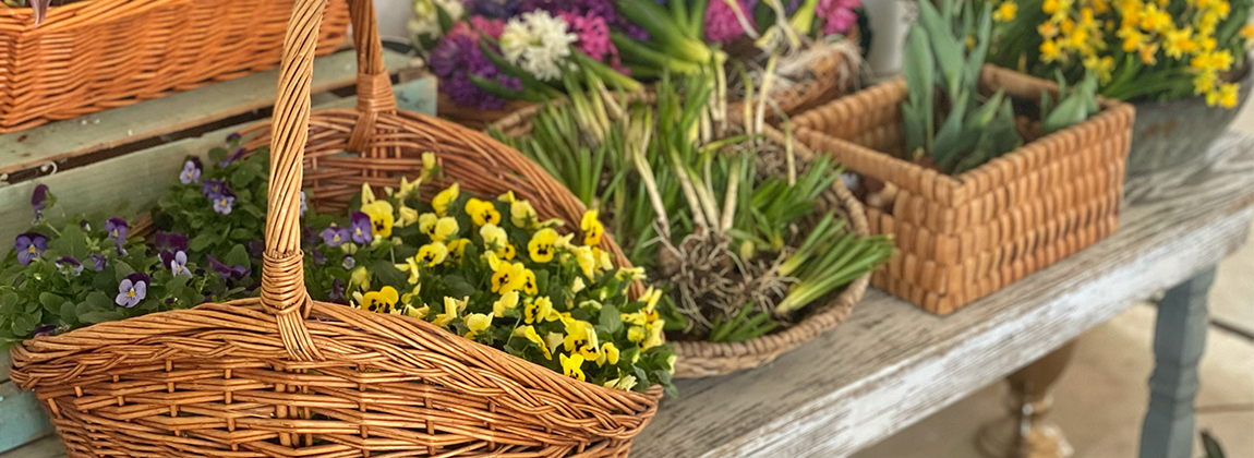 Baskets with flowers and other plants inside