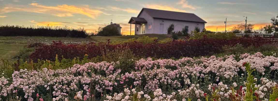 VIP Sunset Retreat