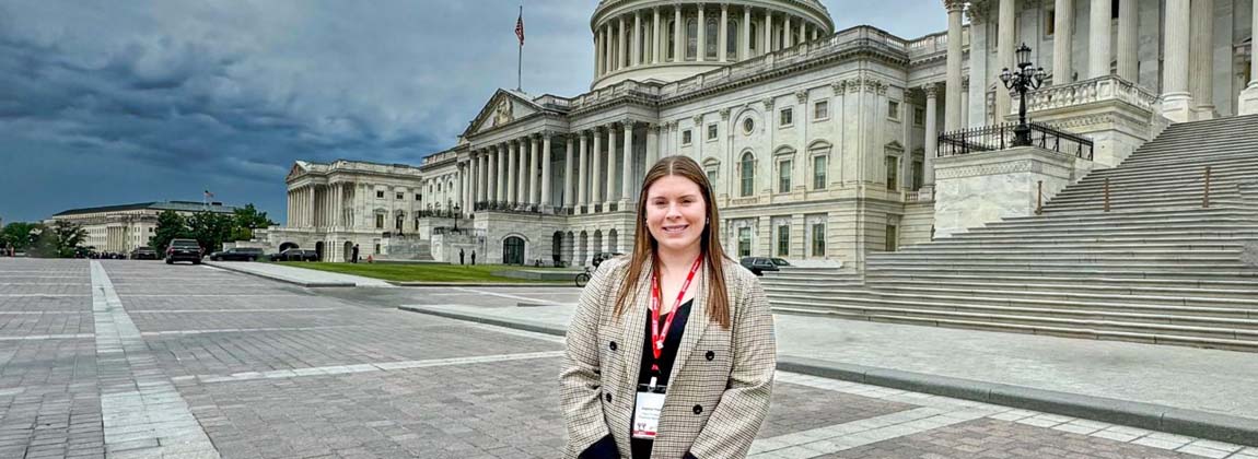 DSM Fellowship Program