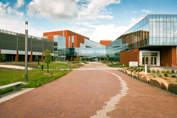 DMU Campus