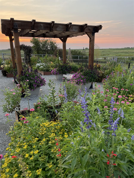 Cottage Garden Cottage Garden