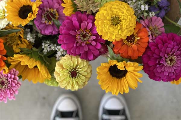 Flower Bouquet Flower Bouquet