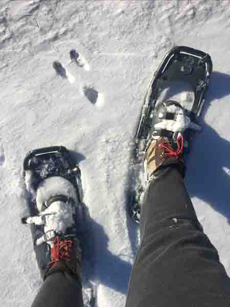 Snowshoes Snowshoes